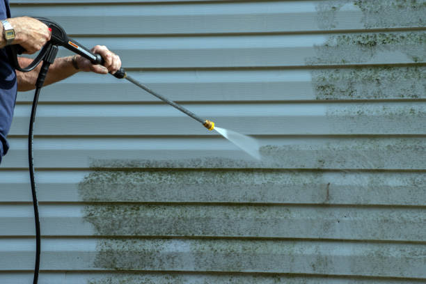 Best Brick and Stone Cleaning in Martins Ferry, OH